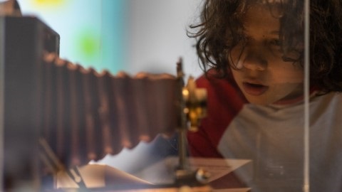 Boy looking at museum display case, and old camera in on display
