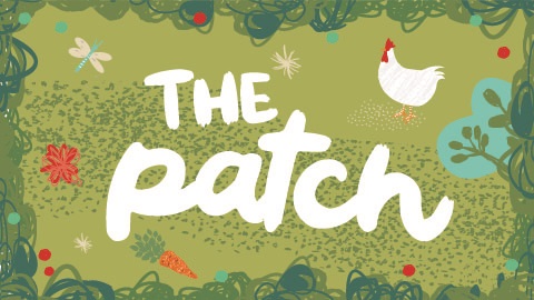 The Patch 480x270-01.jpg