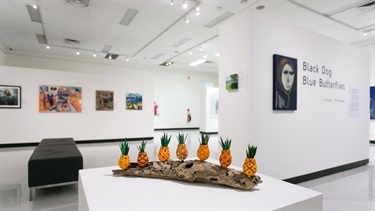 Pine Rivers Gallery