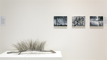 Pine Rivers Gallery
