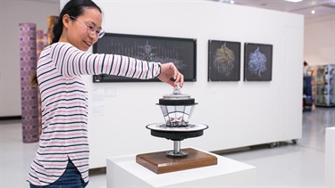 Pine Rivers Gallery
