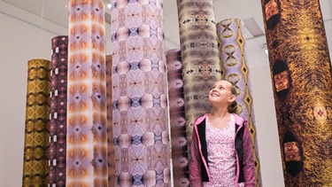Pine Rivers Gallery