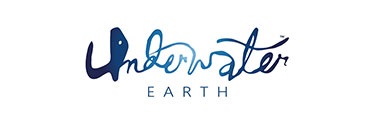 Underwater earth logo