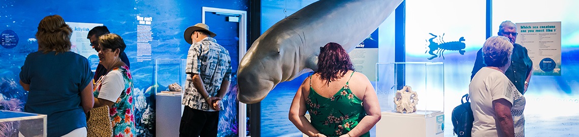 People inside museum looking at different exhbits, a replica dugong hangs from the ceiling