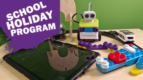 Building blocks and robots