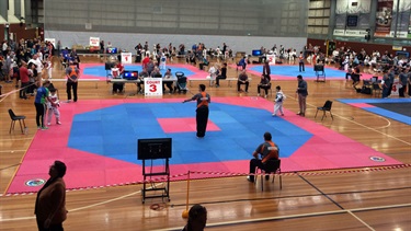 Martial arts competition