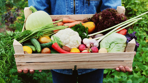 person holding wooden box of vegetables