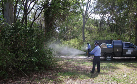 Mosquito spraying