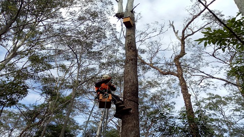 Nest Boxes