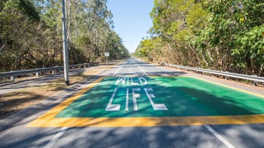 Examples road stencils used to help modify driver behaviour and protect our wildlife.