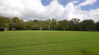 Main field