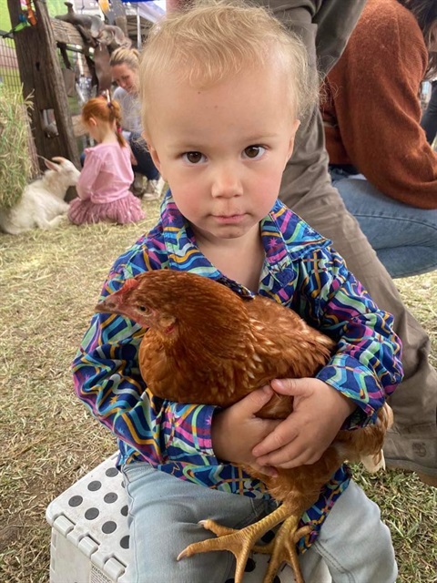 Child holding a chicken