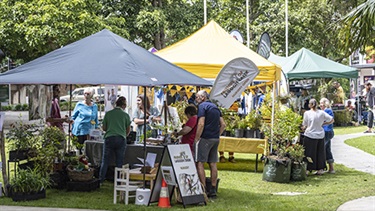 Browse the various market stalls