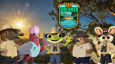 South East Queensland explorer animals - platypus, galah, frog, echidna and sugar glider.