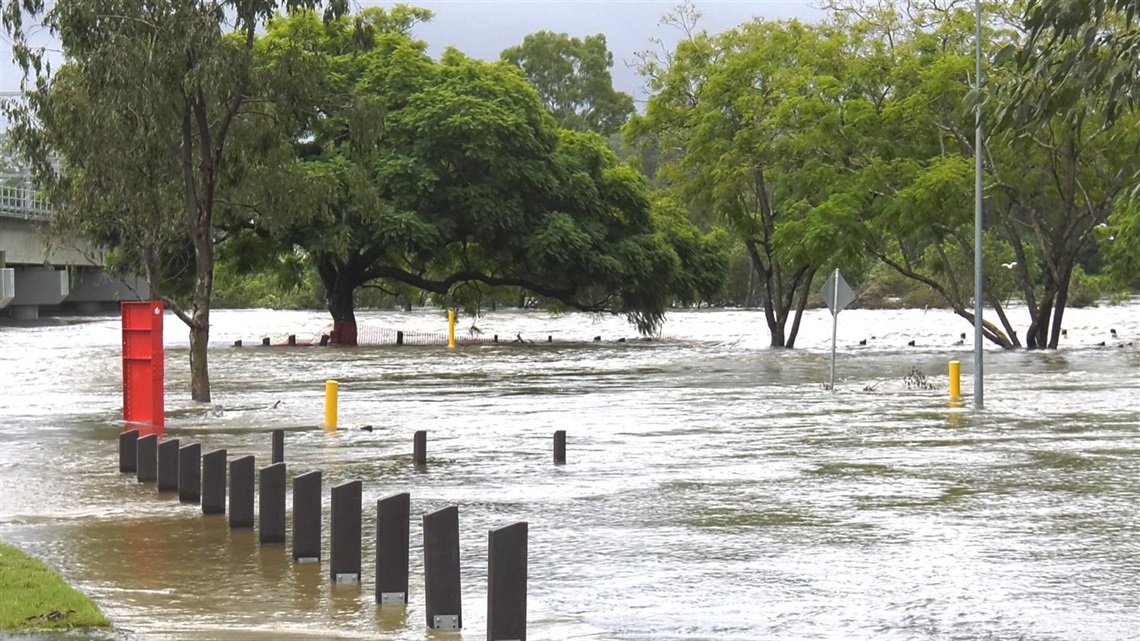 flooded park