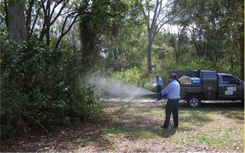 mozzies spray.JPG