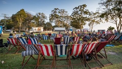 Movie in the park resized.jpg