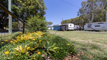 Garden bed with flowers and caravans in the background