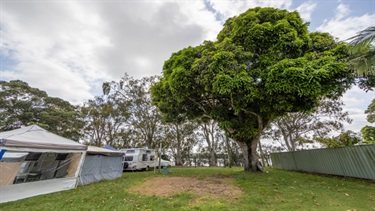 Donnybrook Caravan Park grass site 