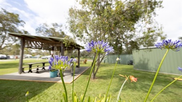 Toorbul Caravan Park covered picnic area