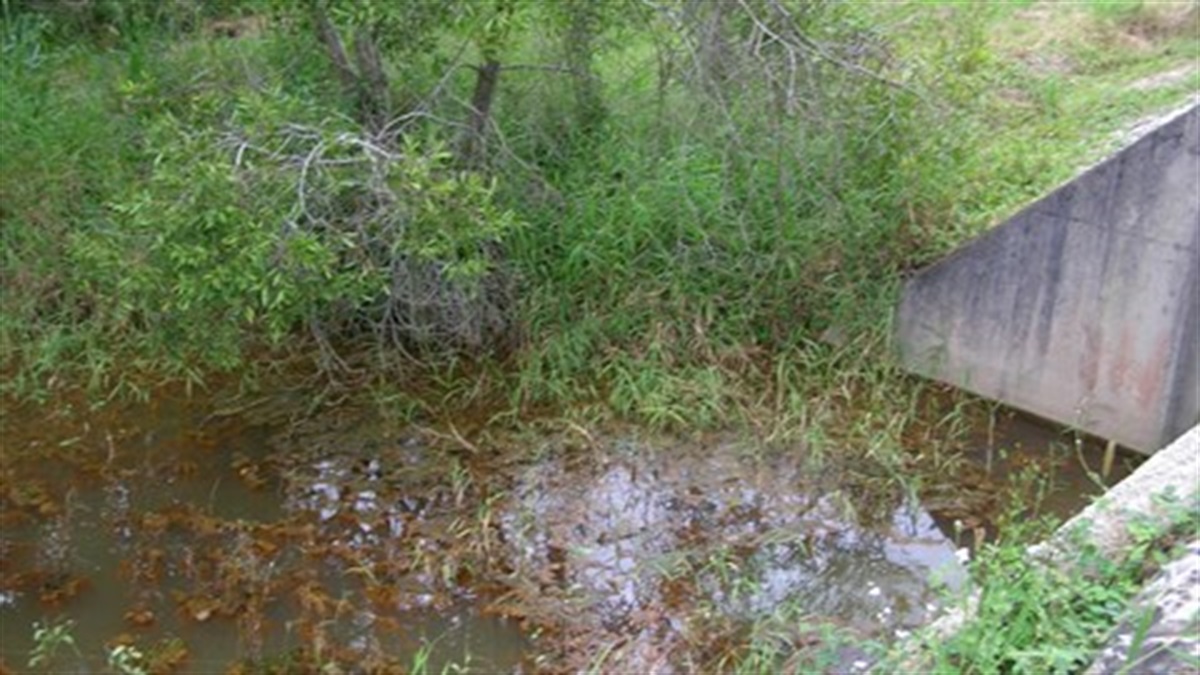 Iron bacteria City of Moreton Bay