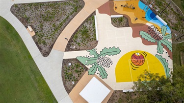 Cosmos Park - Aerial view of basketball court
