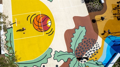 Cosmos Park - Aerial view of basketball court