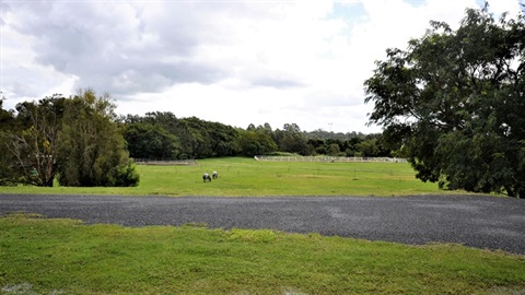 Mountford Park - Horse area