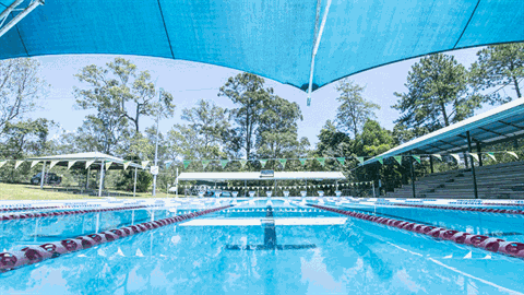 25m_pool.gif