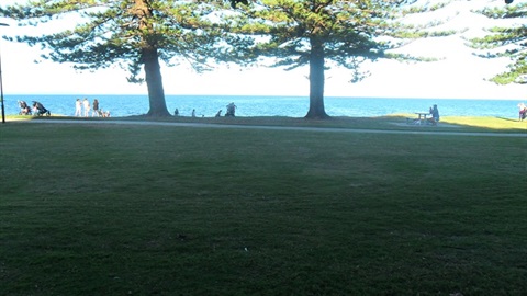 Scarborough Beach park - Wedding area image 1