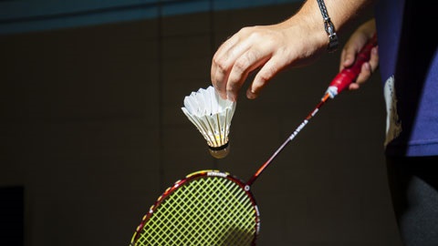 Social Badminton