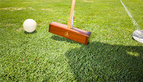 croquet on the green 