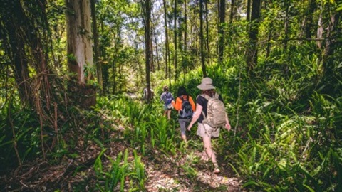 Somerset Trail Adventure