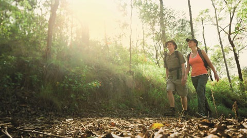 Two bushwalkers 