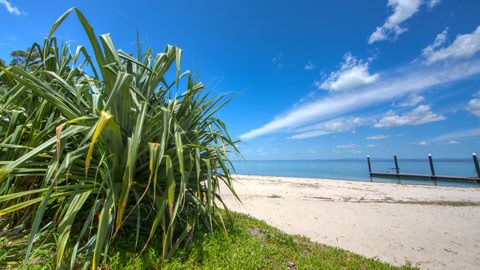 Bribie Island in World War 2