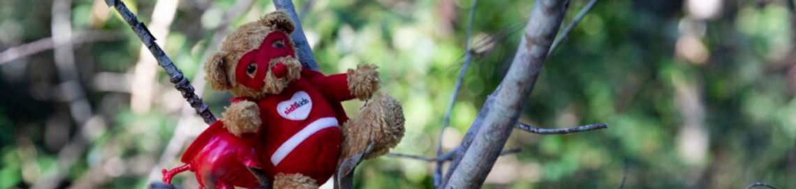 Teddy bear trail
