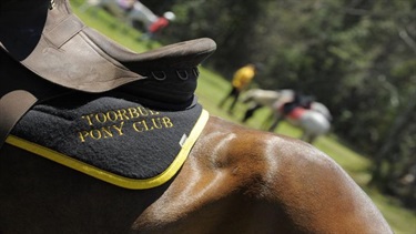 Toorbul Pony Club - Horse with saddle
