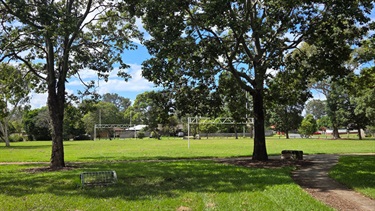 Football field