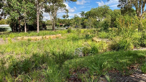 open landscaped parklands