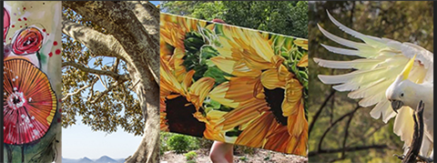 Artwork and scenery from the Tawny Trail