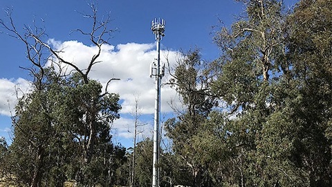 Telstra Telecommunications Tower.jpg