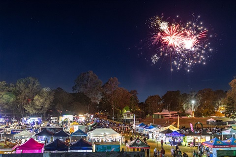 Fireworks in the night sky