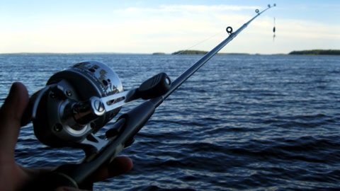 Fishing Fun