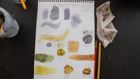 Painting using plant pigments