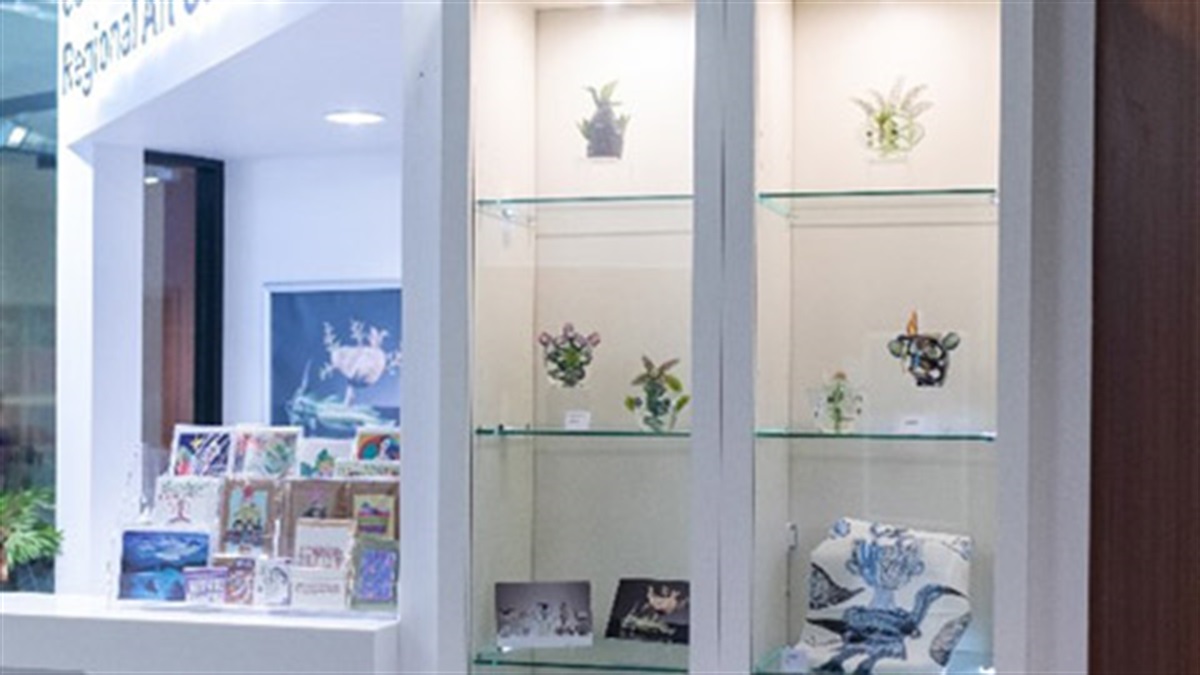 Caboolture Regional Art Gallery Shop | City of Moreton Bay Galleries ...