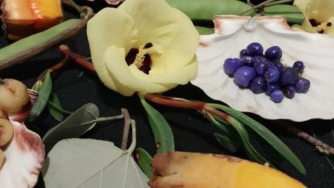 First nations fruits, nuts and berries