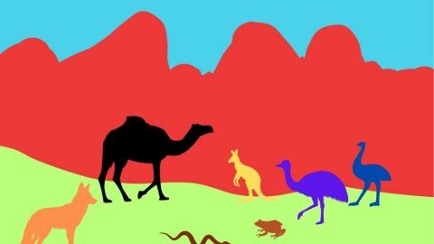 Colourful felt animal display