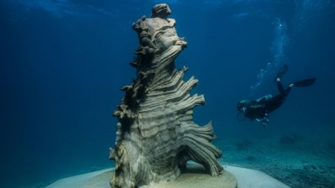 Diver swimming past underwater statue