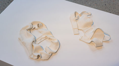 2025 Art Prize 2nd place - Michelle Spencer - Where did she go?