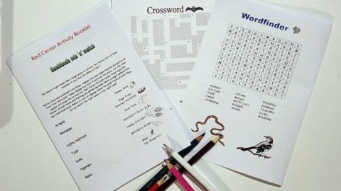 Puzzle activity pages and pencils